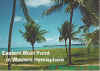 Brasil Joao Pesso  Eastern Most Point in Western Hemisphere Click for LARGER image