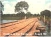 Brasil Pantanal Bridge Click for LARGER image