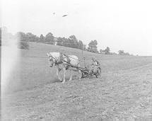 plow_dallas1.jpg (5791 bytes)